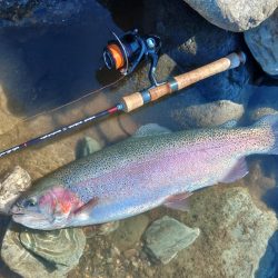 難しすぎるぞ！天竜川ルアーフライ専用区